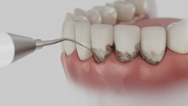 Reliable Dental contractor in Estelle, LA by Dentist Open Now